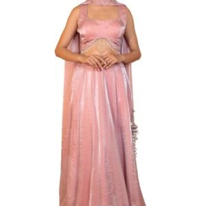 Women's Dreamy Peach Organza Hand-Embroidered Lehenga Set